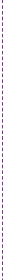 紫の点線